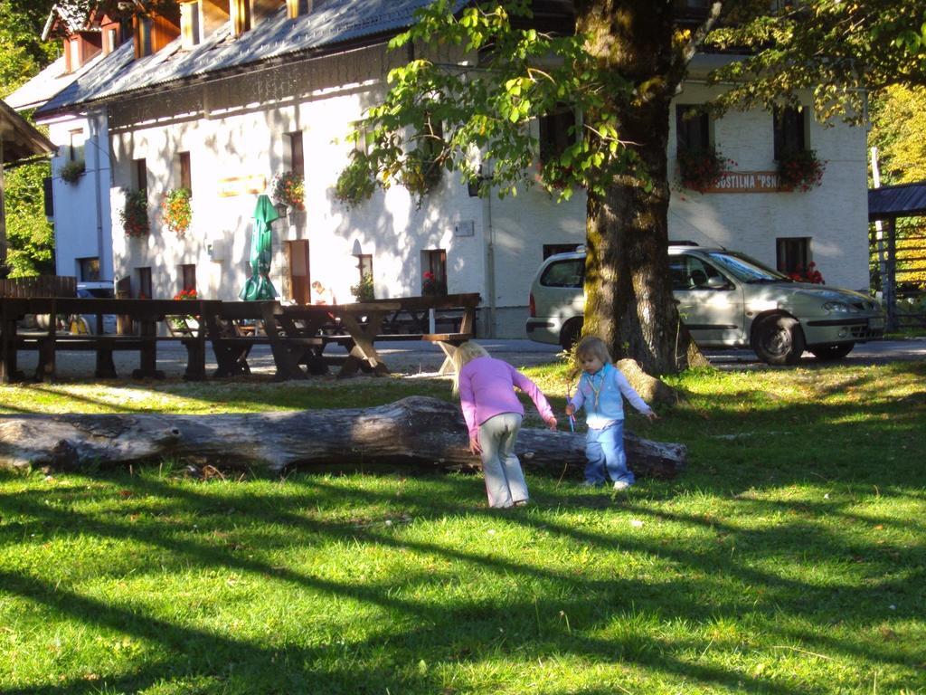Turisticna Kmetija Psnak Apartment Mojstrana Exterior photo